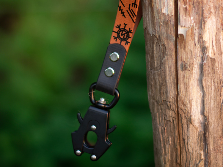 🐺 Laisse/Longe/Poignée