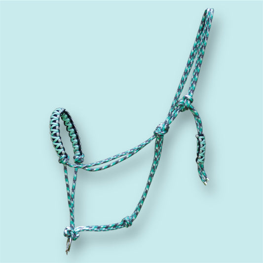 Licol éthologique Drogon