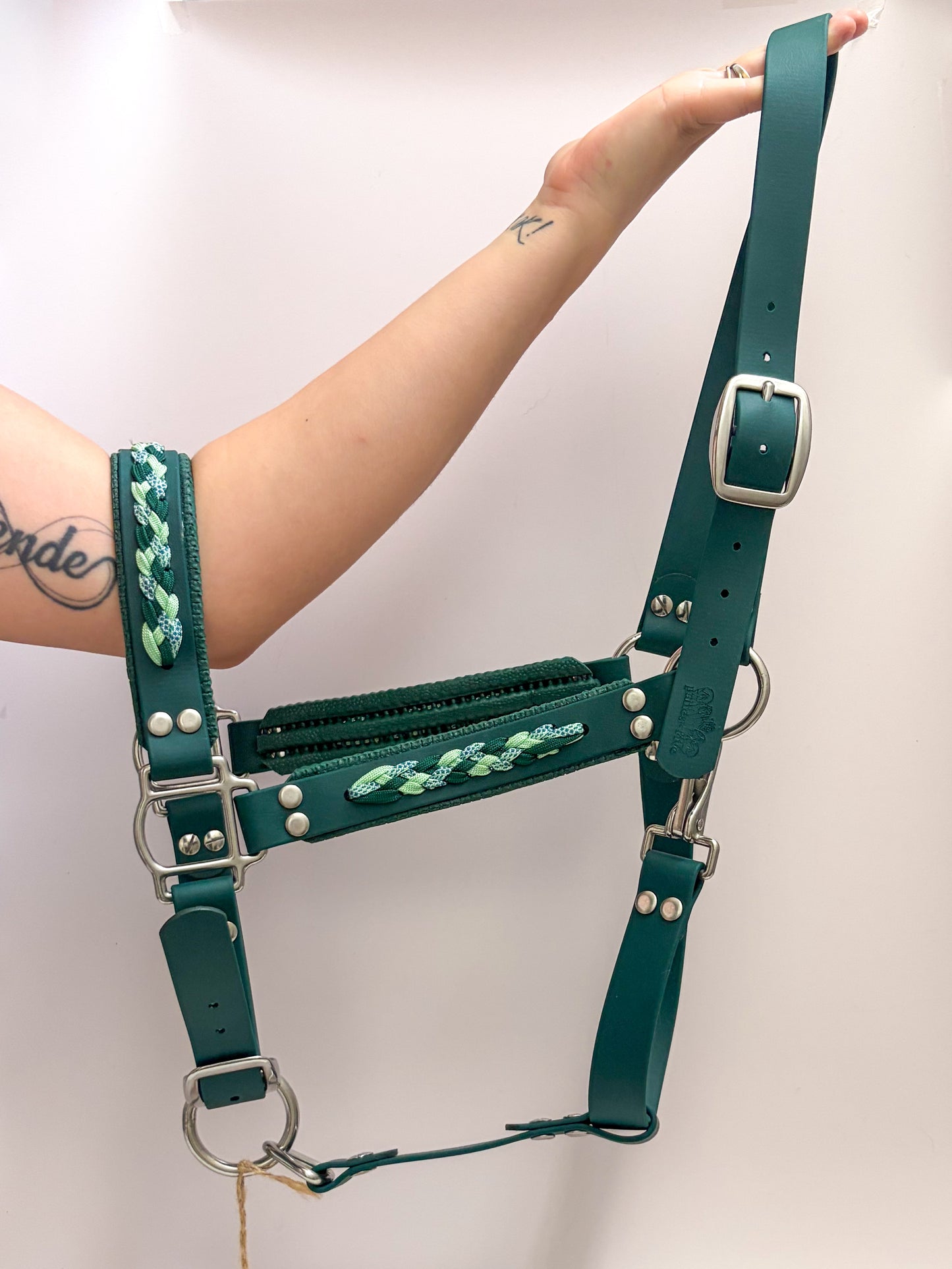 Licol Odin Vert Foncé Cheval