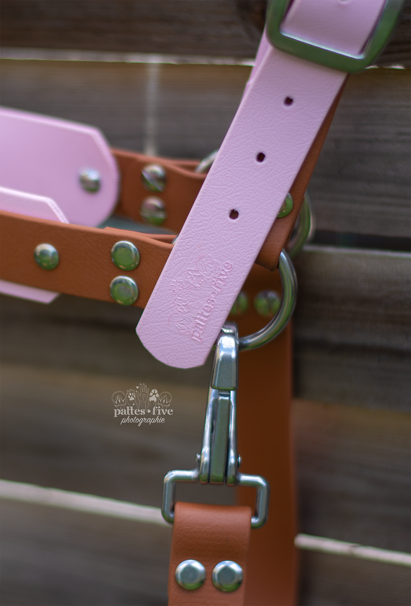 Licol Jörmungand Cob