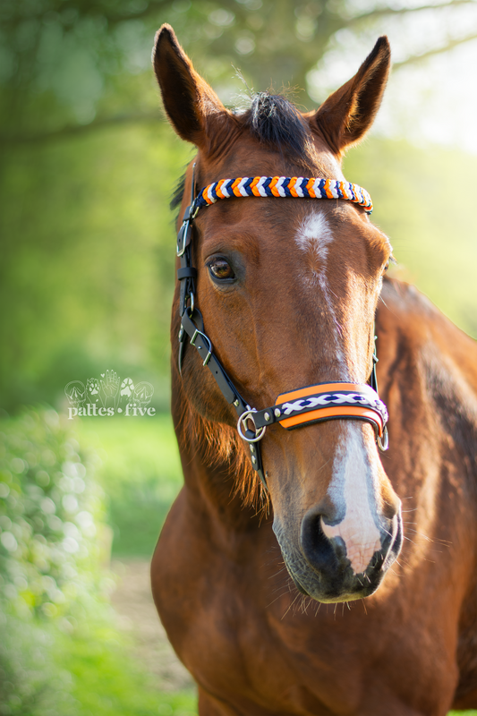 Sidepull cheval sur-mesure