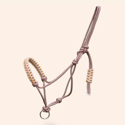 Licol éthologique Viserion