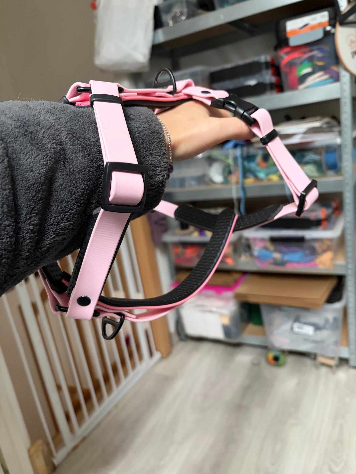 Harnais Petits chiens < 15kg