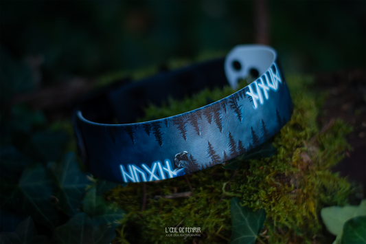 Hugin et Munin 38 et 50mm