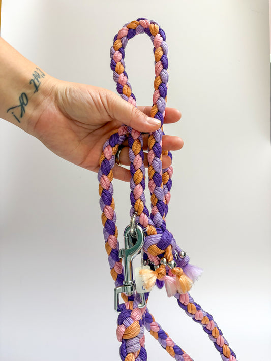 Ensemble collier laisse assortie violet