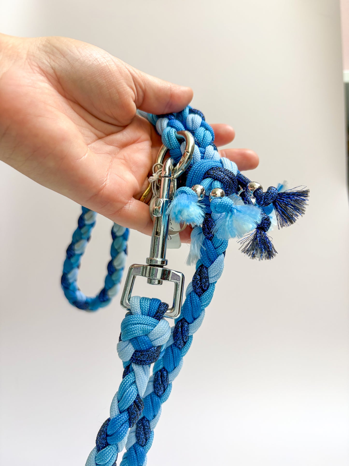 Laisse simple Bleu