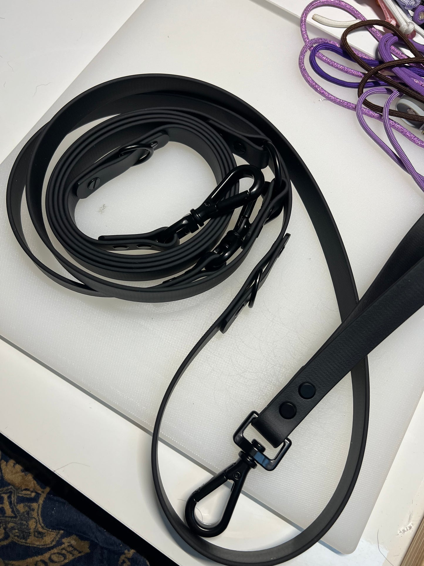 Laisse multiposition BioThane