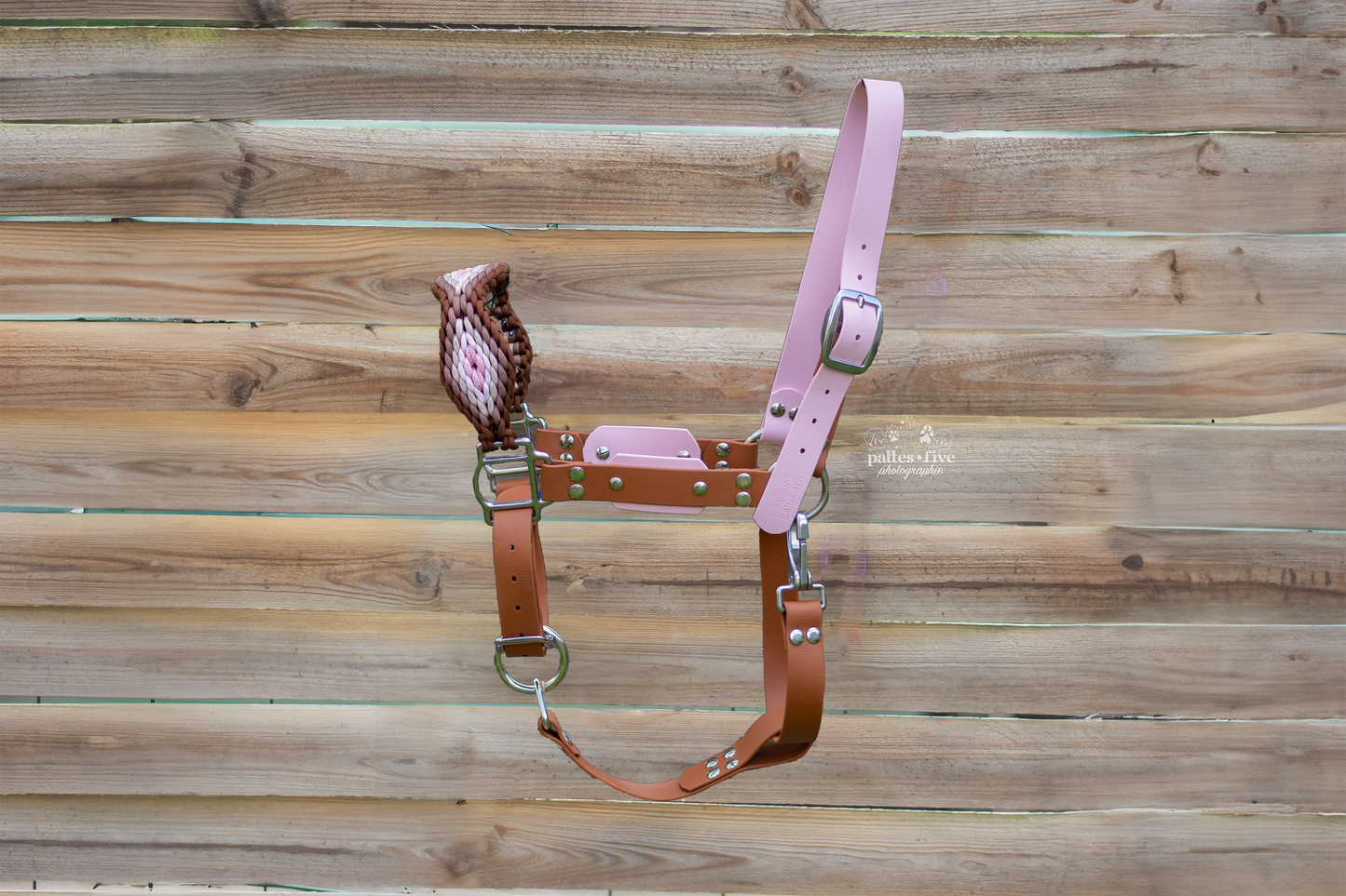 Licol Jörmungand Cob