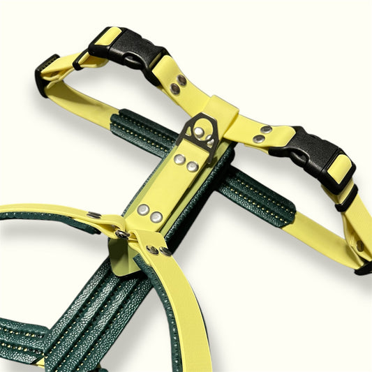 Harnais Biothane simple