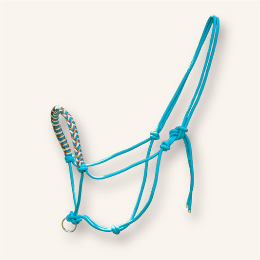 Licol éthologique Rhaegal