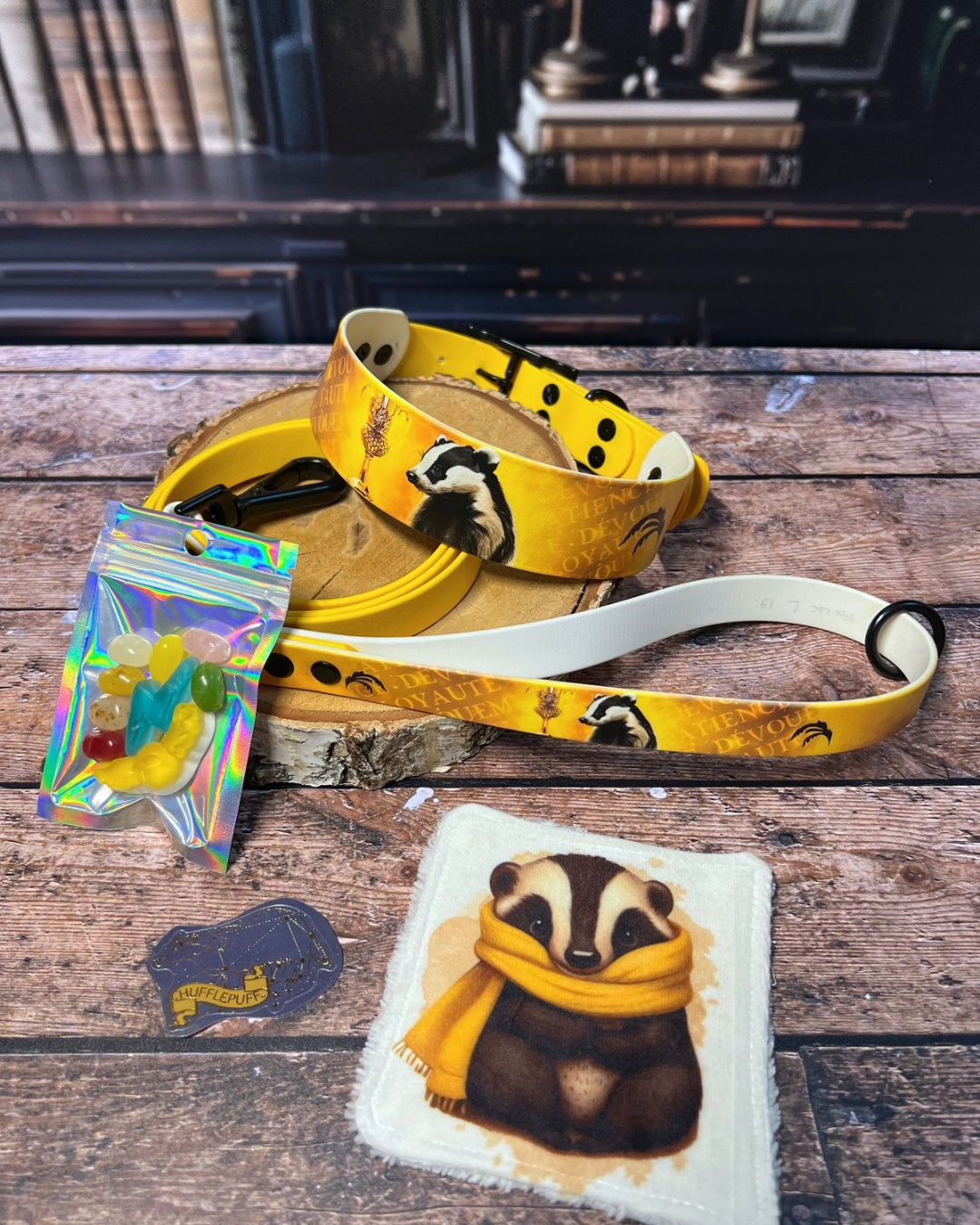 Box de Noël Les Pattes Enchantées