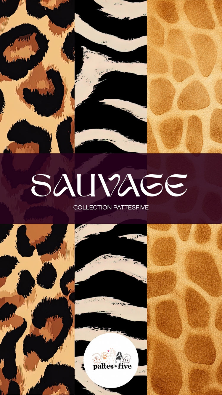 Sauvage - Collection PattesFive