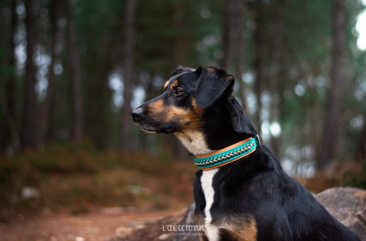 Accessoires personnalisés