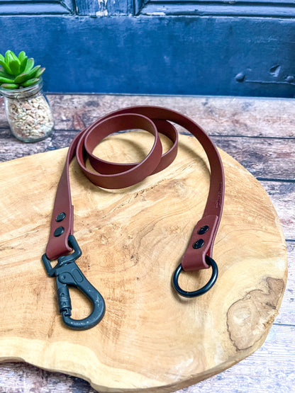 Rajoute de laisse 1m