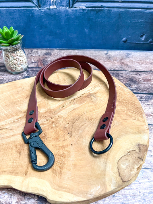 Rajoute de laisse 1m