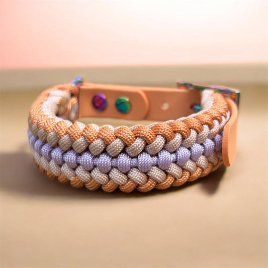 Draugar Cuivre Lilas XS+