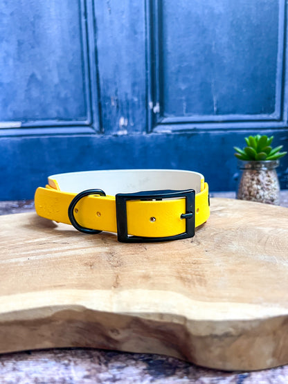 Loyauté 38mm M