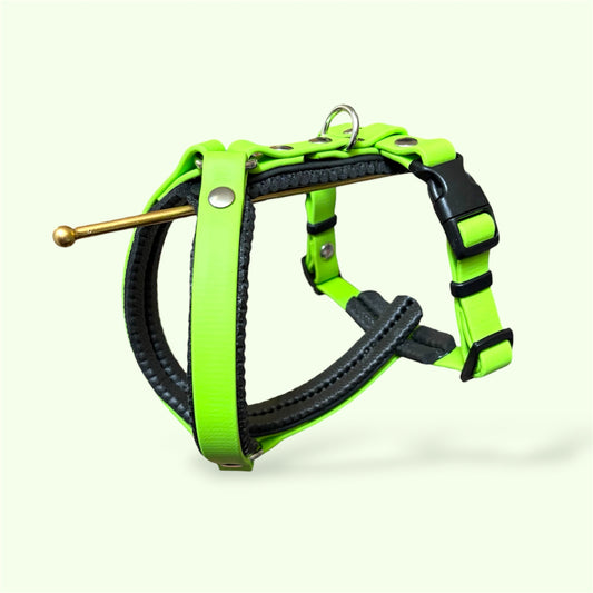 Harnais Très petits chiens < 6kg
