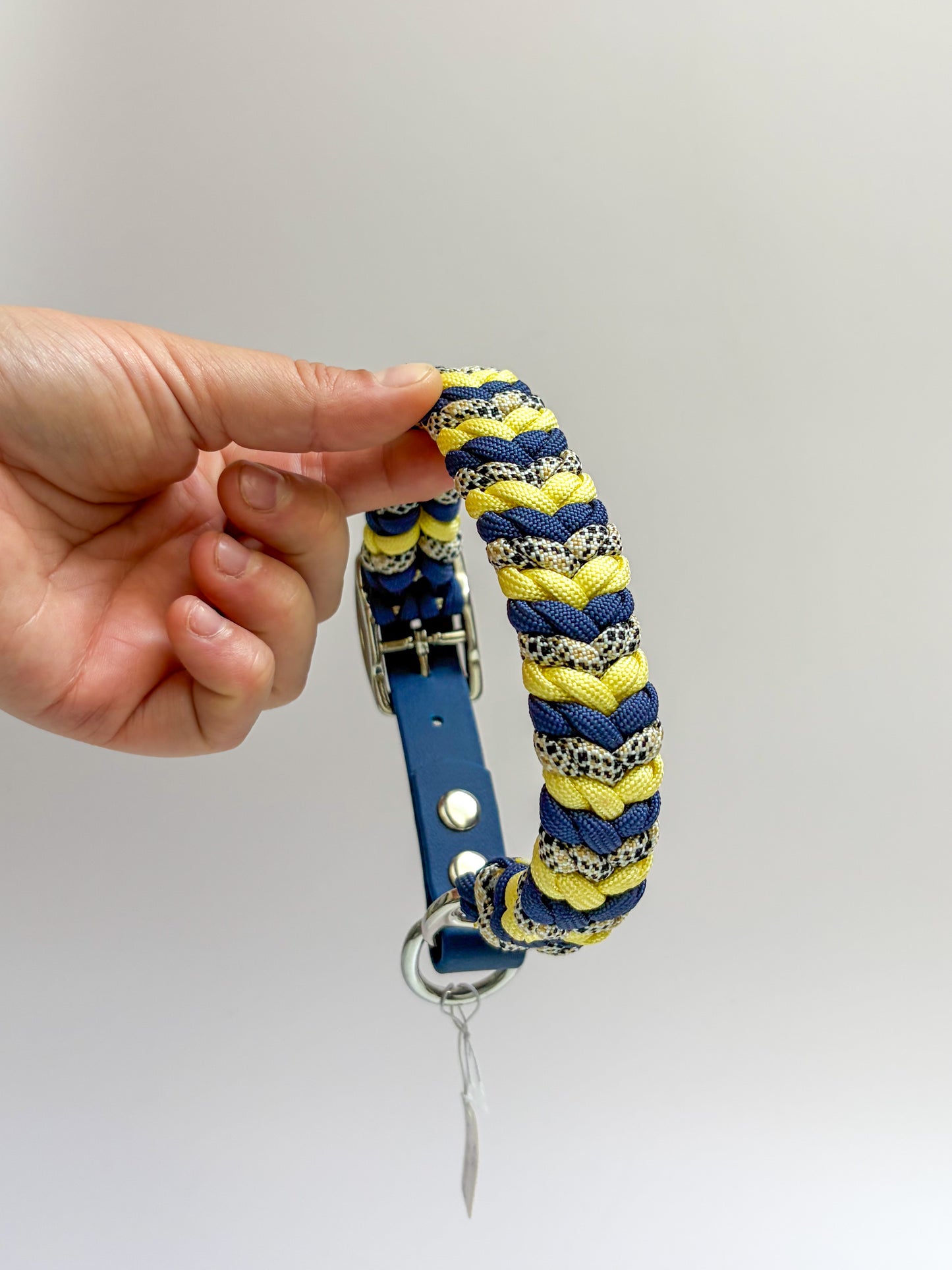 Medusa Bleu Jaune S