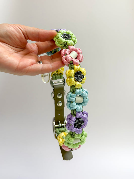 Flore Multicolore