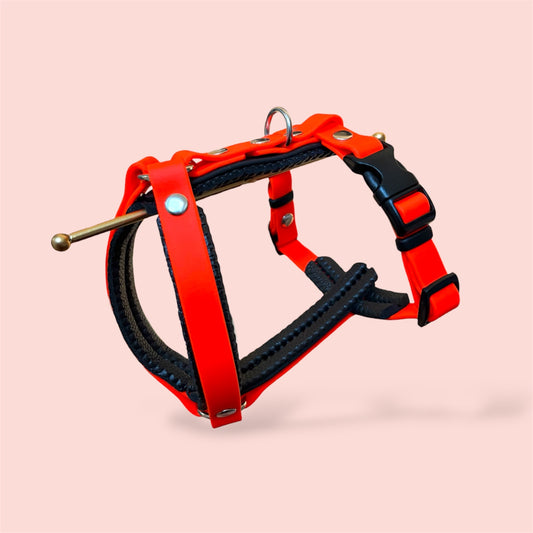 Harnais Très petits chiens < 6kg