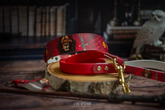 Collier Courage