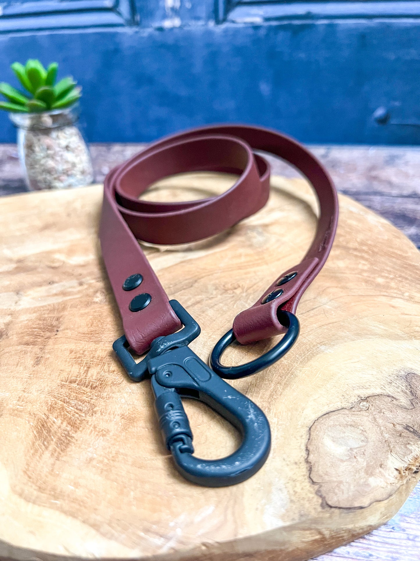 Rajoute de laisse 1m