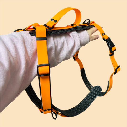 Harnais Biothane simple