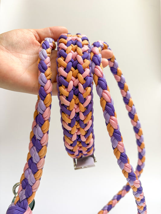 Ensemble collier laisse assortie violet