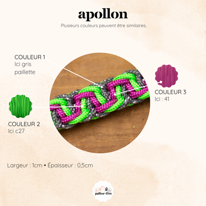 Bracelet Apollon