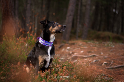 Boréal 50mm Paracorde