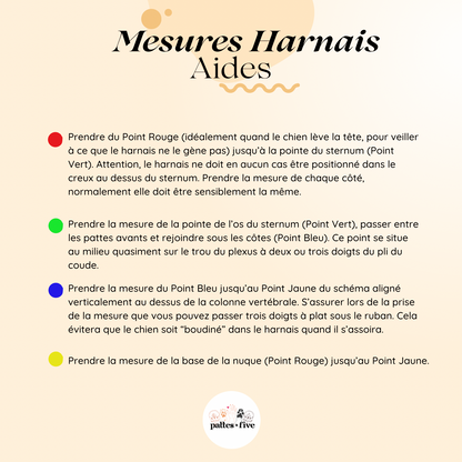 Harnais Paracorde