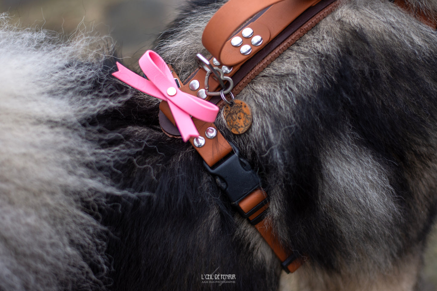 Nœud en BioThane 🎀 Édition Saint Valentin 💘