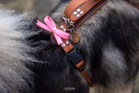 Nœud en BioThane 🎀 Édition Saint Valentin 💘