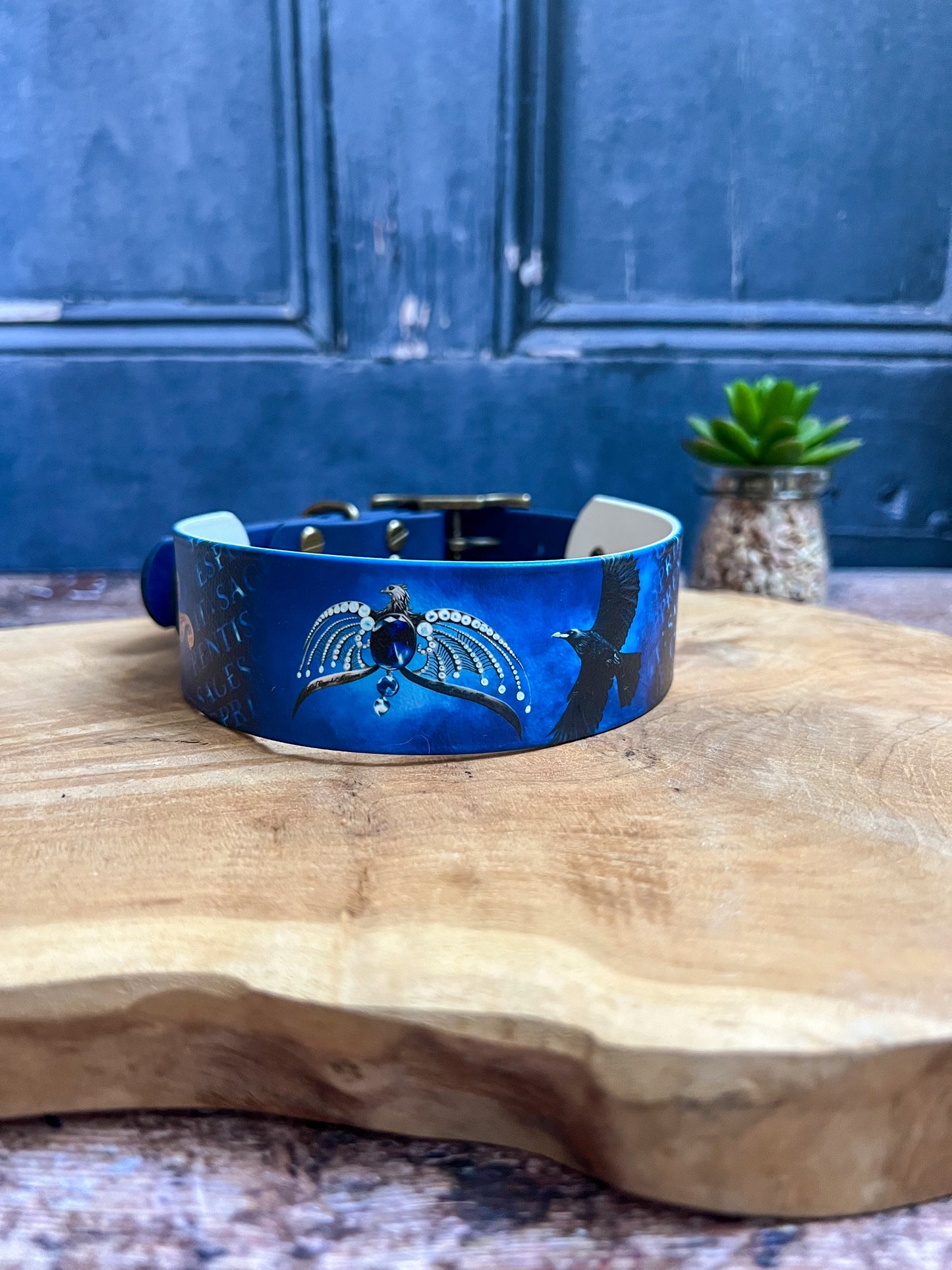 Sagesse 38mm M