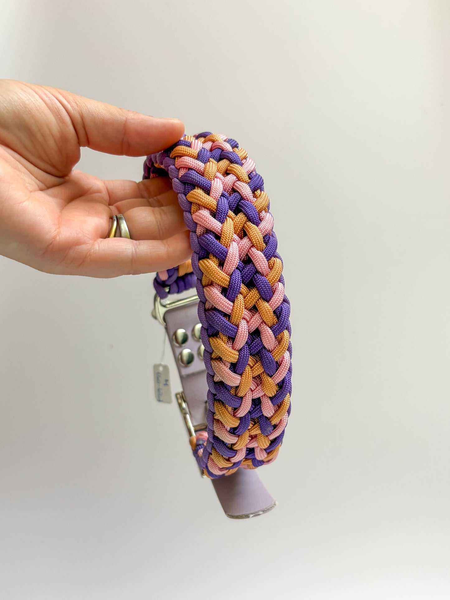 Ensemble collier laisse assortie violet