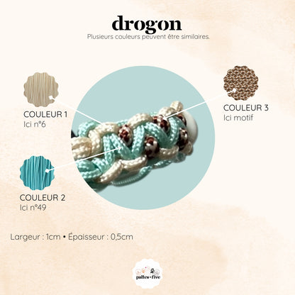 Drogon Chat Anti-tiques
