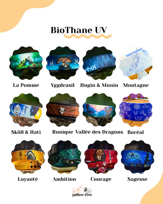 Harnais UV
