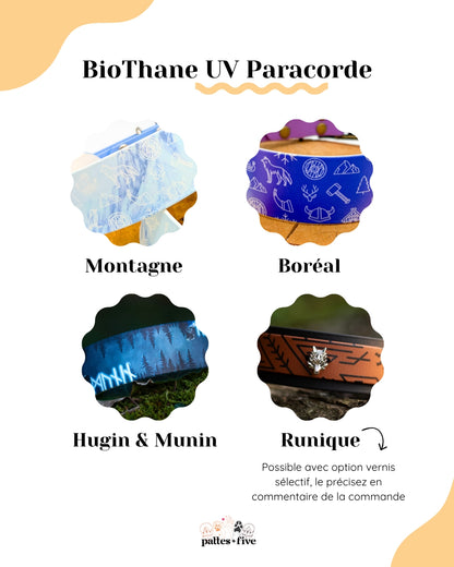 Harnais UV Paracorde