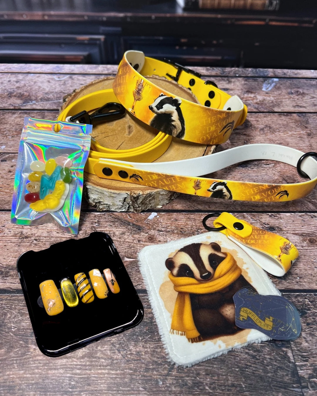 Box de Noël Les Pattes Enchantées