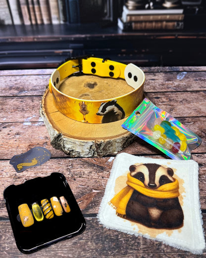 Box de Noël Les Pattes Enchantées