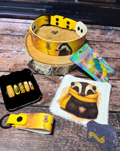 Box de Noël Les Pattes Enchantées