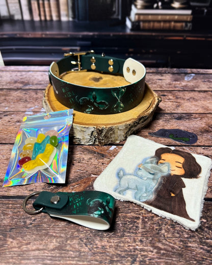 Box de Noël Les Pattes Enchantées