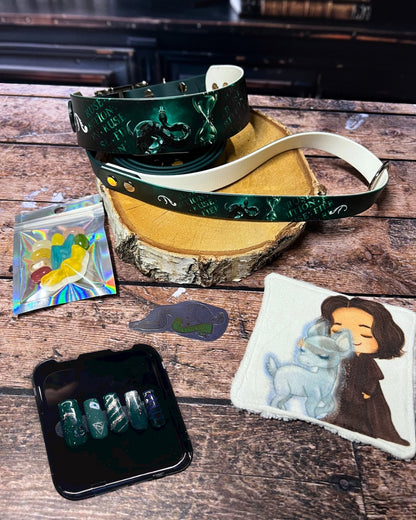 Box de Noël Les Pattes Enchantées