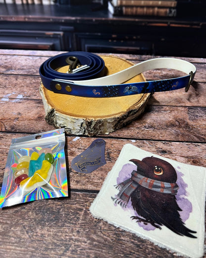 Box de Noël Les Pattes Enchantées