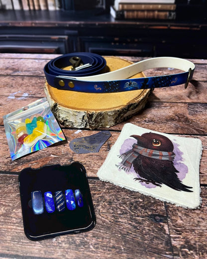 Box de Noël Les Pattes Enchantées