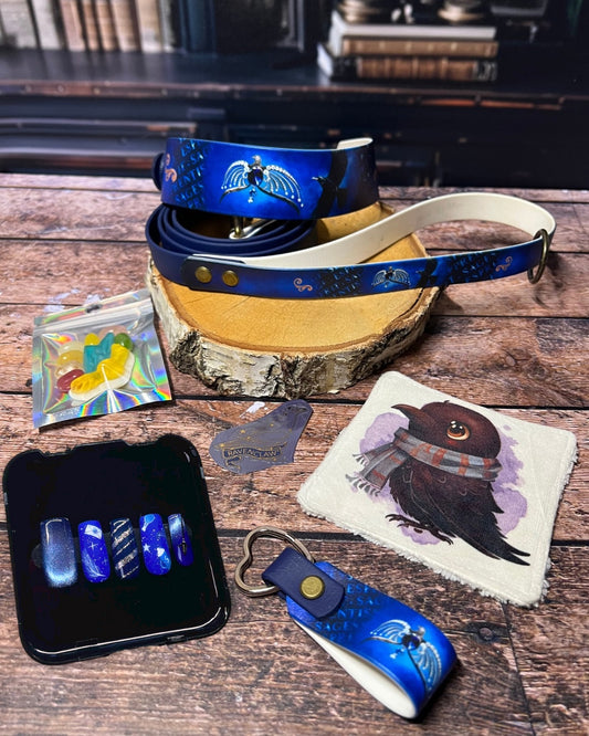 Box de Noël Les Pattes Enchantées