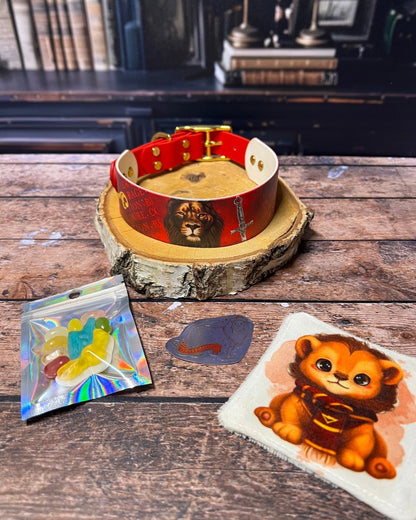 Box de Noël Les Pattes Enchantées