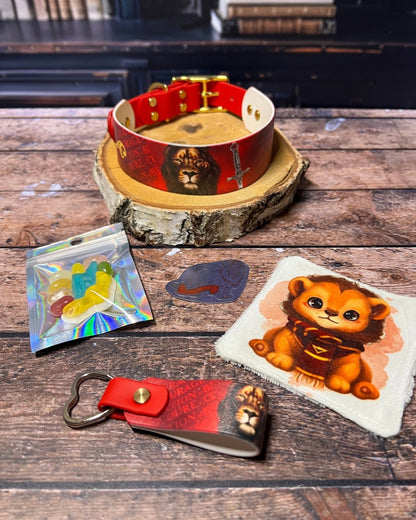 Box de Noël Les Pattes Enchantées