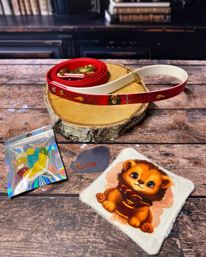 Box de Noël Les Pattes Enchantées